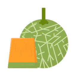 Cantaloupe  Icon