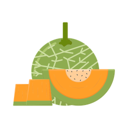 Cantaloupe  Icon