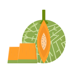 Cantaloupe  Icon