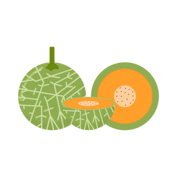 Cantaloupe  Icon