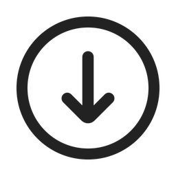 Arrow Down Circle  Icon