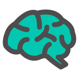 Brain  Icon