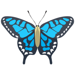 Adonis Blue  Butterfly  Icon