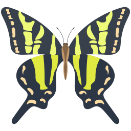 Butterfly  Icon