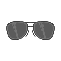 Sunglasses  Icon