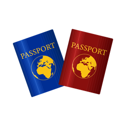 Passport  Icon