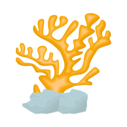 Coral  Icon