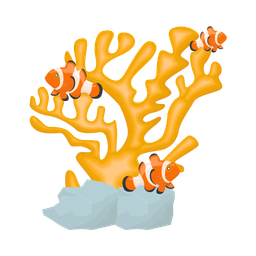 Coral  Icon