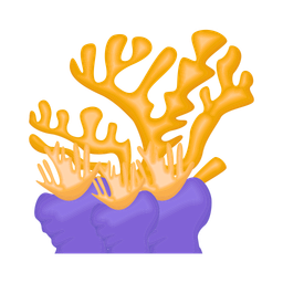 Coral  Icon