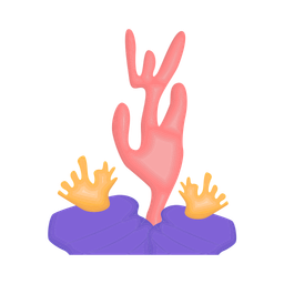 Coral  Icon