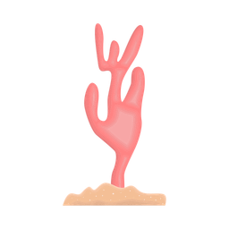 Coral  Icon