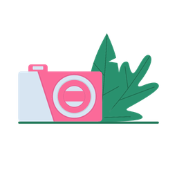 Camera  Icon