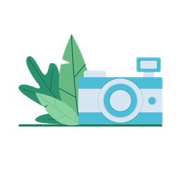 Camera  Icon