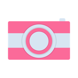 Camera  Icon