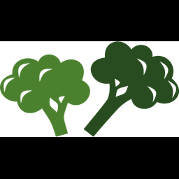 Broccoli  Icon