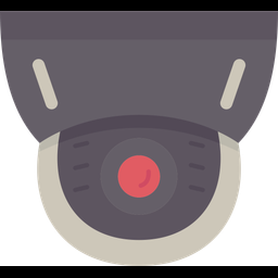 Camera  Icon