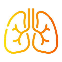 Lungs  Icon