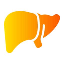 Liver  Icon