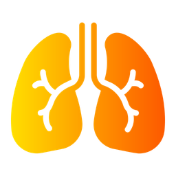 Lungs  Icon