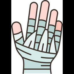 Hand  Icon