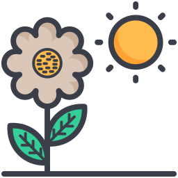 Chlorophyll  Symbol