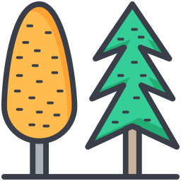 Evergreen Trees  Icon