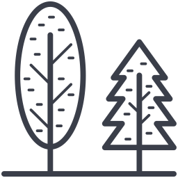 Evergreen Trees  Icon