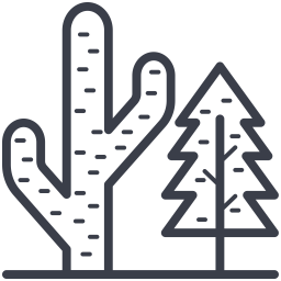 Cactus Plant  Icon