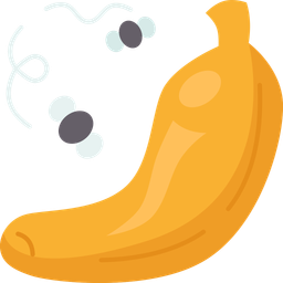 Fruit  Icon