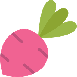 Beetroot  Icon