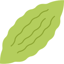 Bitter gourd  Icon