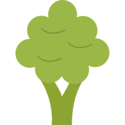 Broccoli  Icon