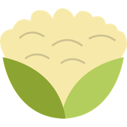 Cauliflower  Icon