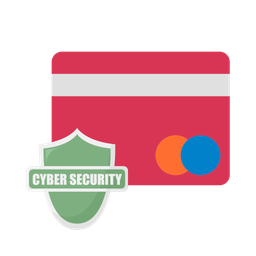 Credit card security  Icon