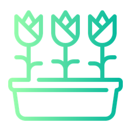 Flower  Icon