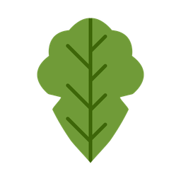 Bok Choy  Icon