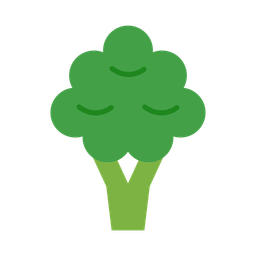 Broccoli  Icon