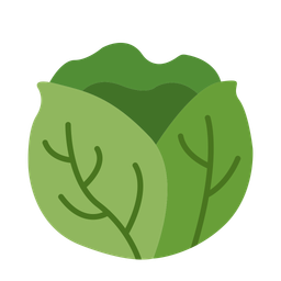 Cabbage  Icon