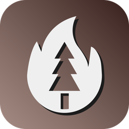 Fire  Icon