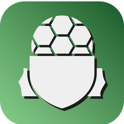 Football Banner  Icon