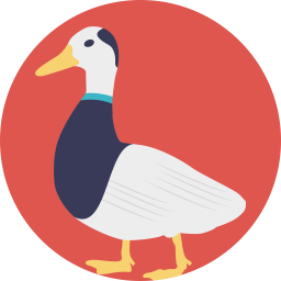 Duck  Icon