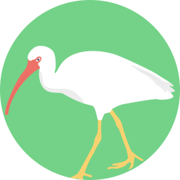 Crane Bird  Icon