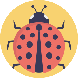 Coccinellidae  Icon