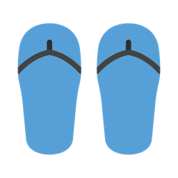 Flip Flops  Icon