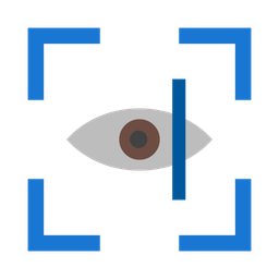 Eye Scanner Security Biometric Icône