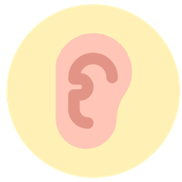 Anatomy  Icon