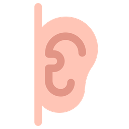 Anatomy  Icon