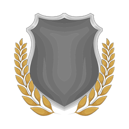 Shield  Icon