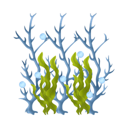 Coral  Icon