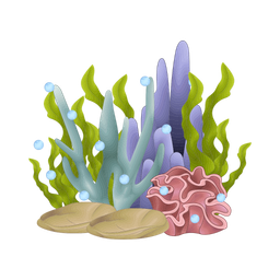 Coral  Icon